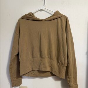 aerie Brown Cropped Hoodie